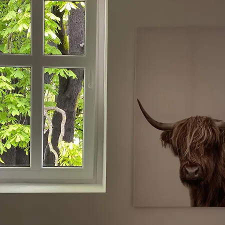 Apartman Corner Of - *