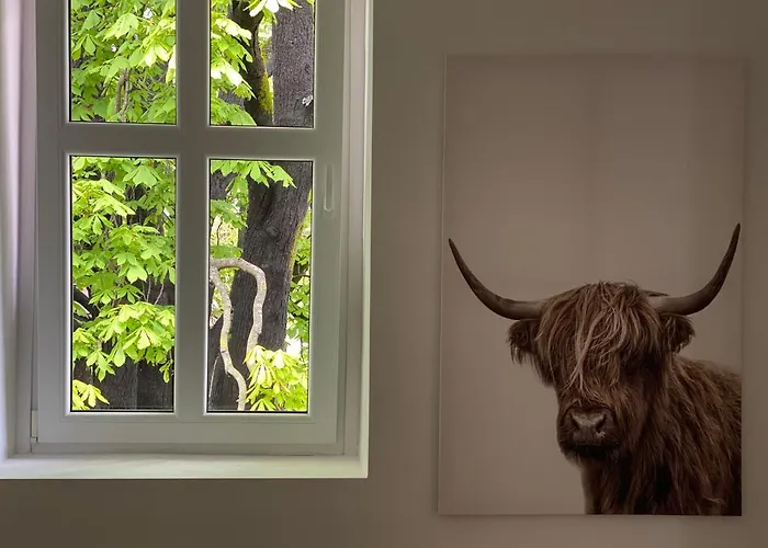 Lägenhet Corner Of - *